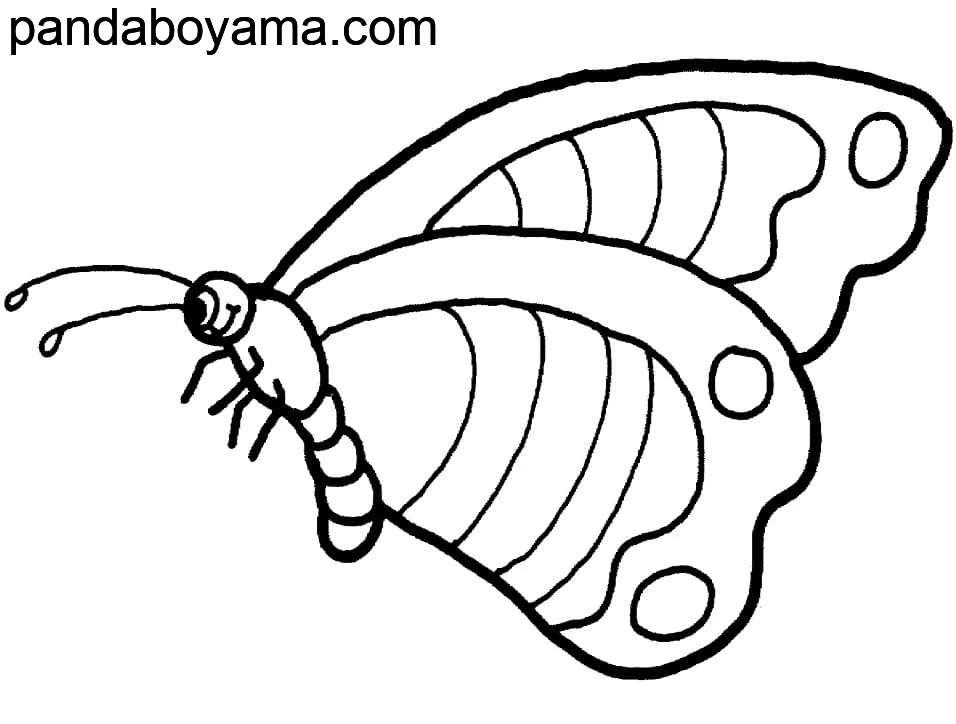 Yetişkin Kelebek boyama sayfası